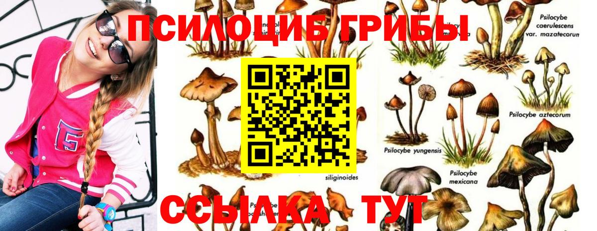 Галлюциногенные грибы Magic Shrooms  Вход с VPN  Еманжелинск 