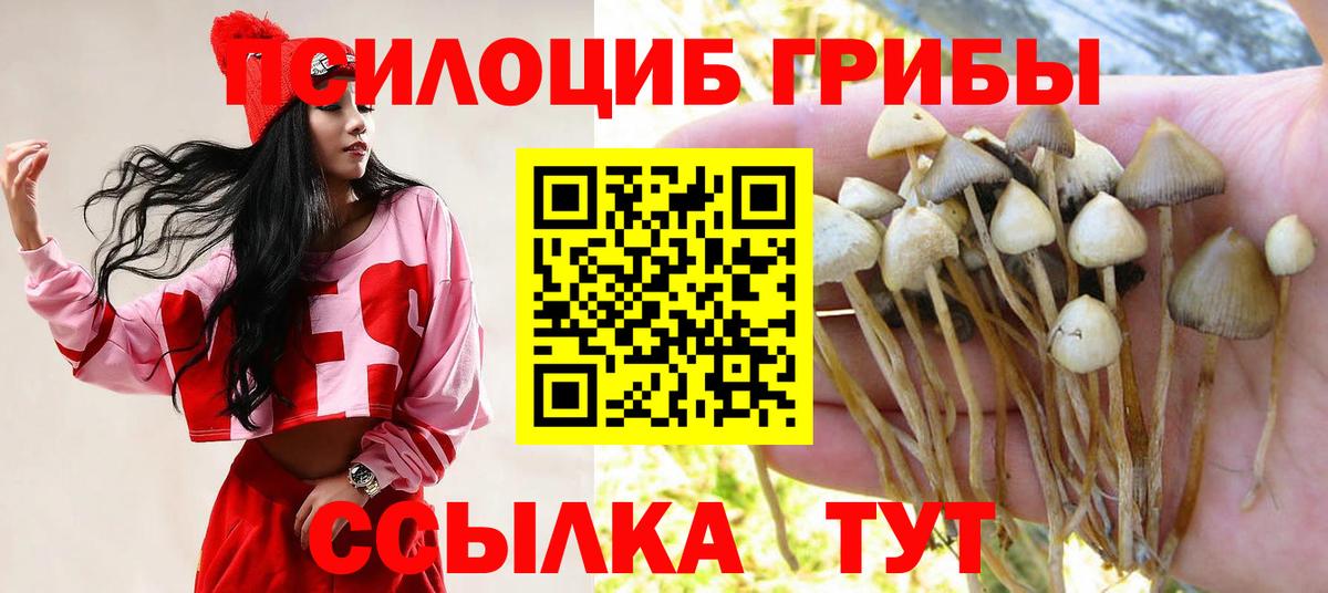 Псилоцибиновые грибы прущие грибы Еманжелинск